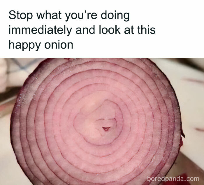 Cute onion with an unexpected smile, part of a food meme collection prompting a late-night fridge raid.