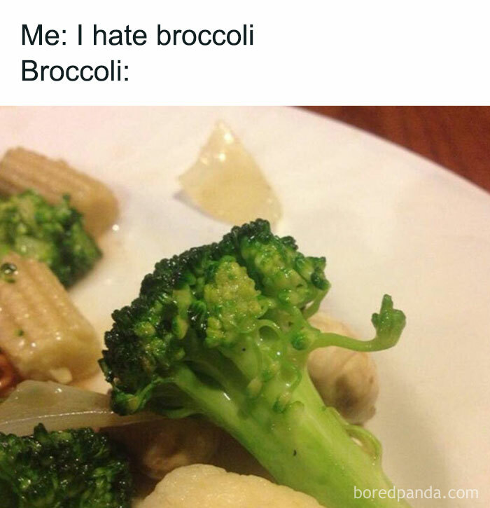 A broccoli floret with a humorous caption about disliking broccoli, on a plate of mixed vegetables.