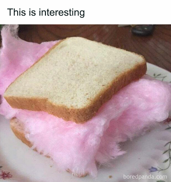 Cotton candy sandwich on a plate, showcasing a quirky food meme.