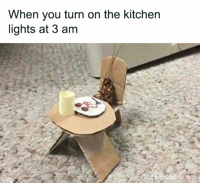 Cardboard table with cup and plate, attended by a cockroach, humorously depicting a late-night kitchen scene.
