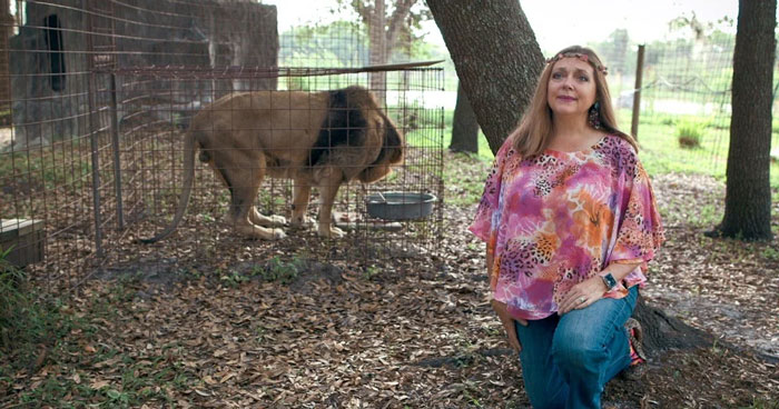 A woman kneeling outdoors in front of a caged lion, wearing a floral shirt and headband.