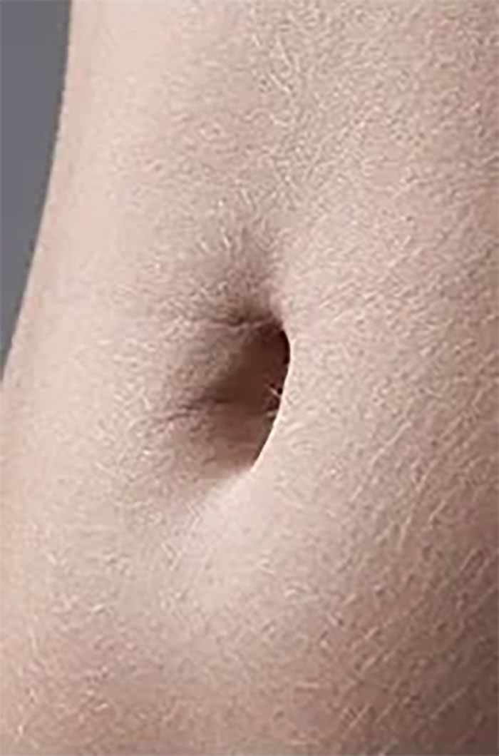 Close-up of a belly button with skin texture, referencing Florida Man stories.