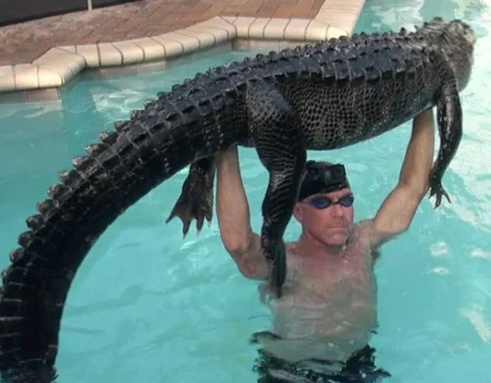 Man holding an alligator above his head in a pool, a classic example of a Florida man stunt.