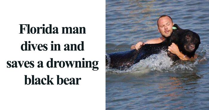 50 Times A Floridian Woke Up And Chose Absolute Unhinged Chaos