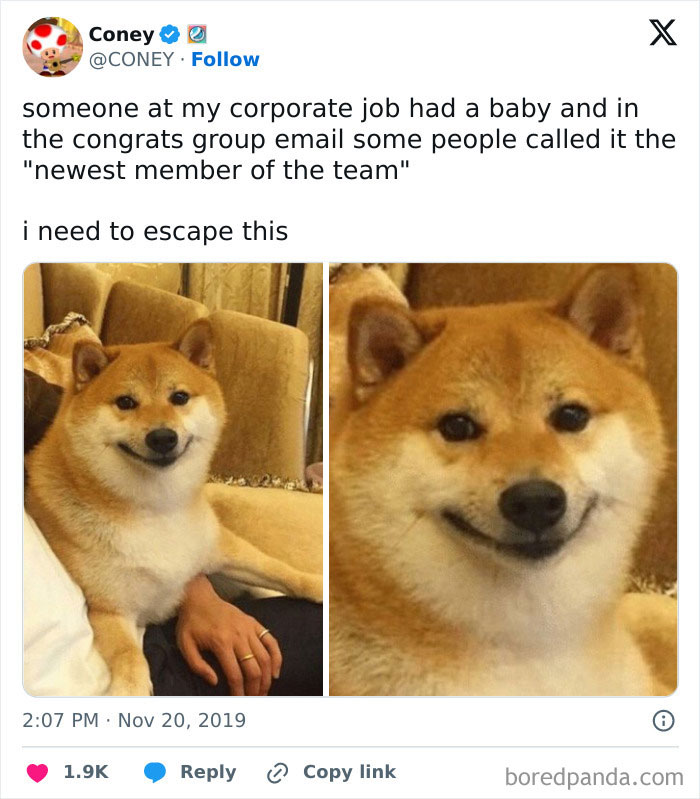 Smiling Shiba Inu next to hand, illustrating a funny work tweet about a "new team member" at a corporate job.