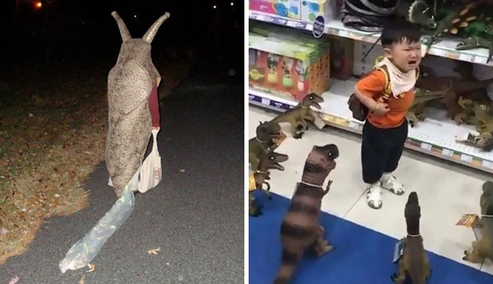 50 Hilariously Absurd Random Pics That Hit Like A Drunk Text At 3 AM