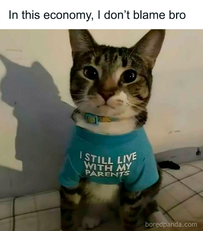 Cat in a shirt saying "I still live with my parents," illustrating sadcastic meme humor.