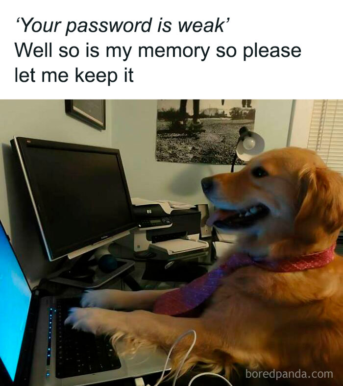 Dog in a tie typing on a laptop, embodying a sadcastic meme about weak passwords and memory.