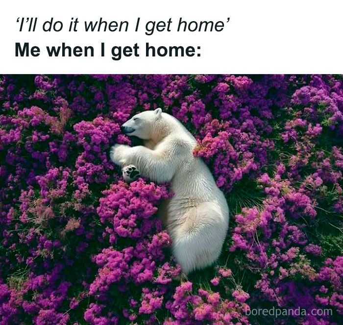 Polar bear sleeping on vibrant purple flowers in a 'sadcastic' meme moment.