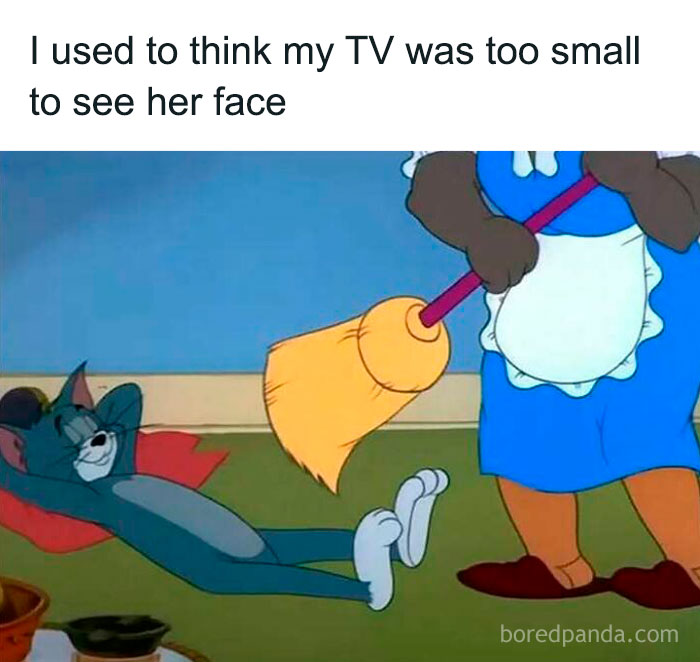 Cartoon cat relaxing while another character sweeps; text humorously remarks on TV size, exemplifying sadcastic meme style.
