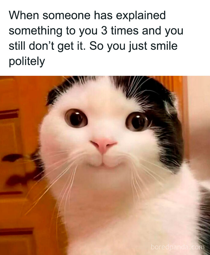 Cat with a humorous face and a caption about confusion, illustrating sadcastic meme humor.