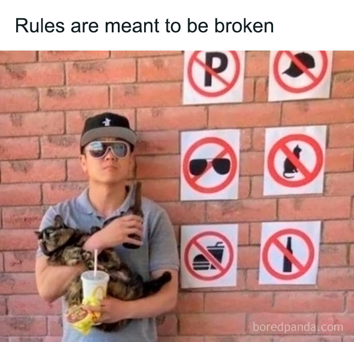 Man holding cat and drink by a wall with prohibited signs, showcasing sadcastic meme humor.