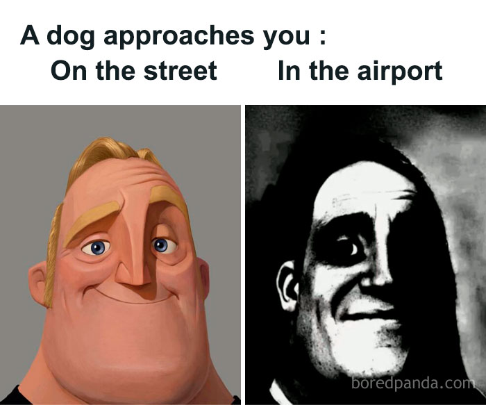 Sadcastic meme of a dog approaching with a smiling man on street vs. dark image at airport.