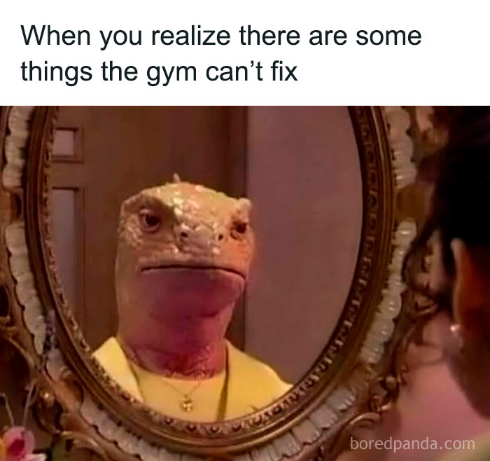 Lizard in a yellow shirt with a sadcastic look, gazes at its reflection in the mirror.