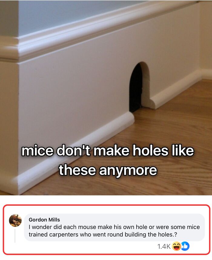 A small arched hole in a wall with sarcastic text about mouse-made holes; a humorous social media comment below.