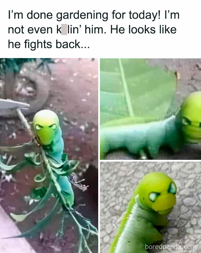 A caterpillar with an aggressive expression in a sarcastic meme about gardening challenges.