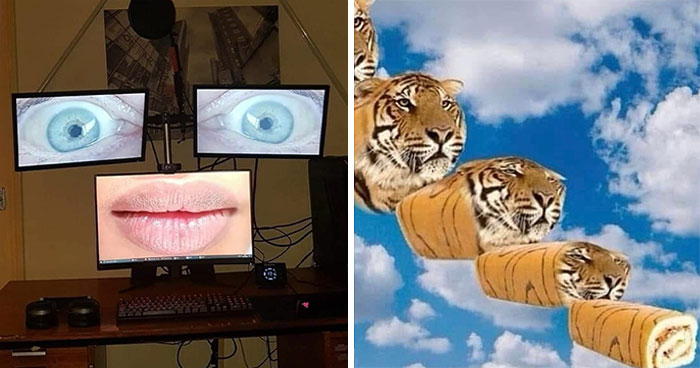 This Insta Page Shares Pics With Zero Context, Here Are 40 Of The Funniest And Weirdest Ones (New Pics)
