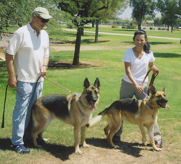 Two people walking dogs in a park on a sunny day. Two people walking dogs in a park on a sunny day.