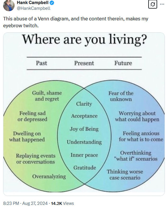 Venn diagram humorously illustrating living in past, present, and future.