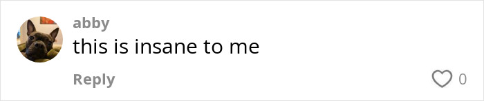 Comment by user "abby" saying, "this is insane to me," related to viral airport theory trend. Comment by user "abby" saying, "this is insane to me," related to viral airport theory trend.