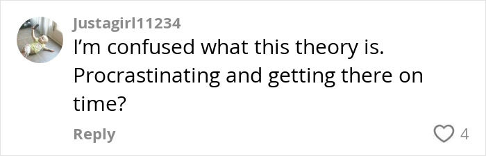 Comment questioning the viral airport theory trend with confusion about procrastination and punctuality. Comment questioning the viral airport theory trend with confusion about procrastination and punctuality.
