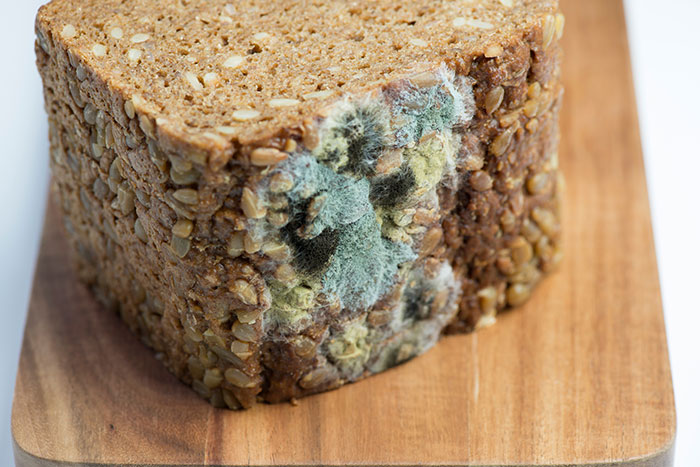 Moldy bread on a wooden board, highlighting disgusting kitchen conditions.