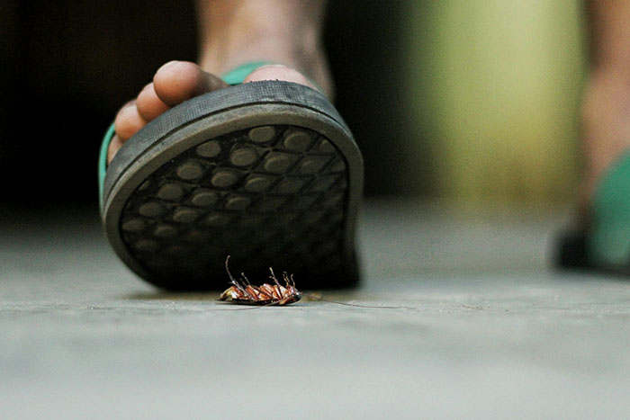 Sandal crushing cockroach on restaurant kitchen floor, illustrating hygiene issues seen by staff.