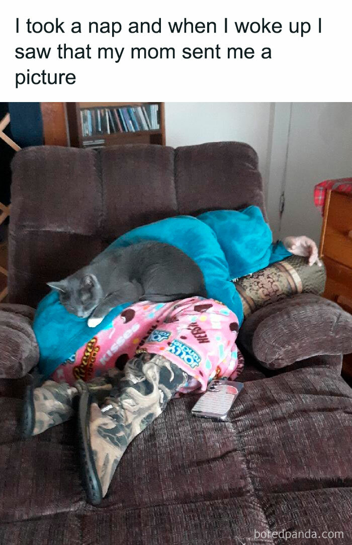 Cat napping on a person in fun pajamas, creating a positive and uplifting scene at home.