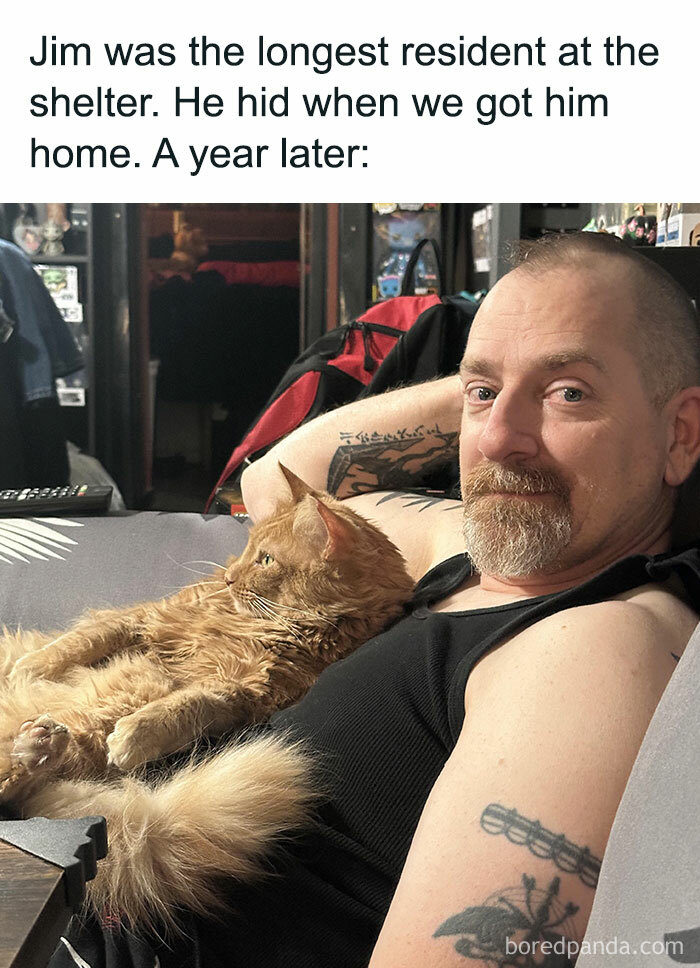 Man relaxing on a sofa with a fluffy cat on his chest, showcasing a positive and uplifting moment.