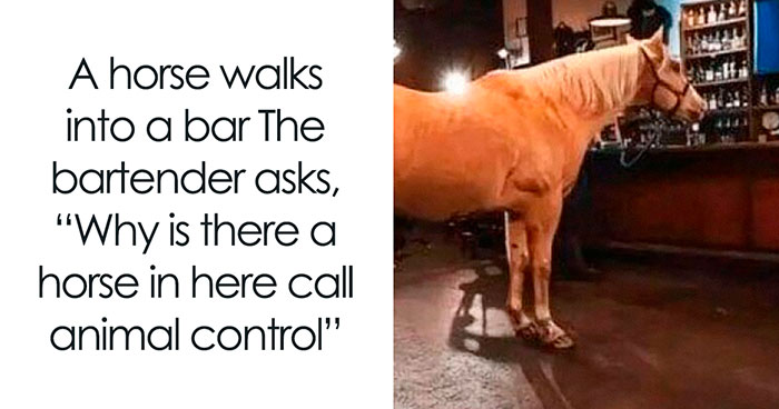 30 Literal Memes That Are Hilariously Straight To The Point (New Pics)