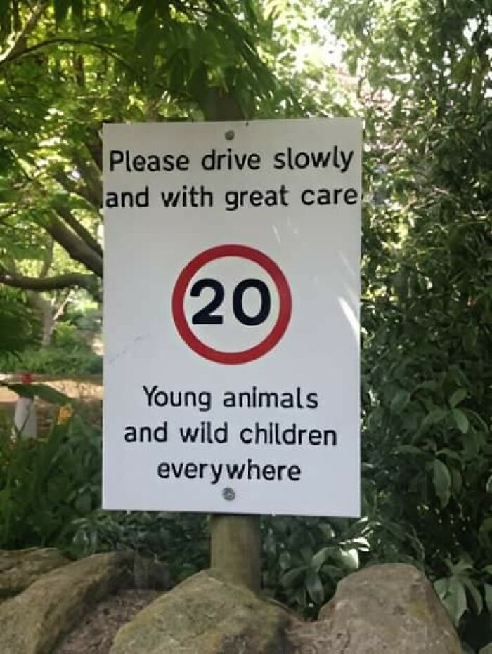 Sign warning to drive slowly due to young animals and wild children nearby, a potential aftermath of someone's mistake.