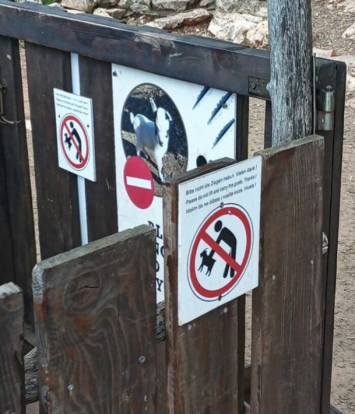 Wooden gate with signs warning against petting goats, indicating a big mistake aftermath prevention.