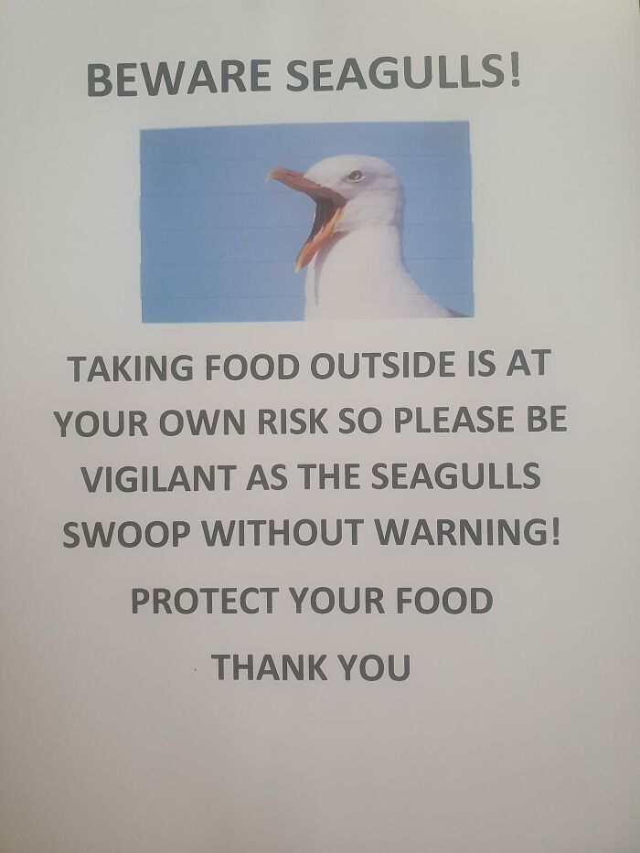 Warning sign about seagulls swooping for food, urging caution to protect against mistakes in outdoor dining.