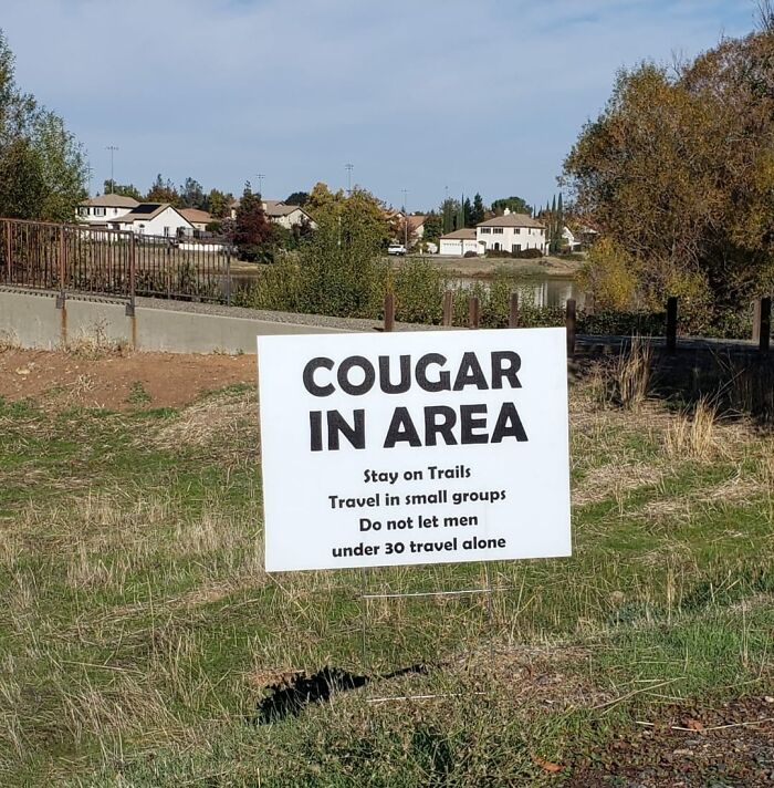 "Sign stating 'Cougar in Area' warning with travel advice, highlighting potential aftermath of mistakes."