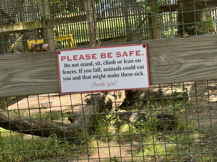 Sign warning about climbing fences, humorous note on animals' reactions, highlighting aftermath of big mistakes.
