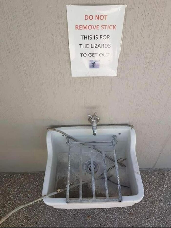 Sink with a sign warning not to remove stick, aiding lizards' escape, suggesting aftermath of a mistake.