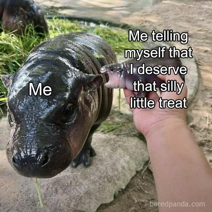Humorous meme with a small animal labeled "Me" and a hand feeding it, captioned "Me telling myself I deserve that silly treat."