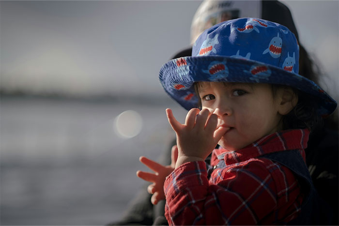 A child wearing a blue shark-patterned hat and red plaid shirt, with blurred background.