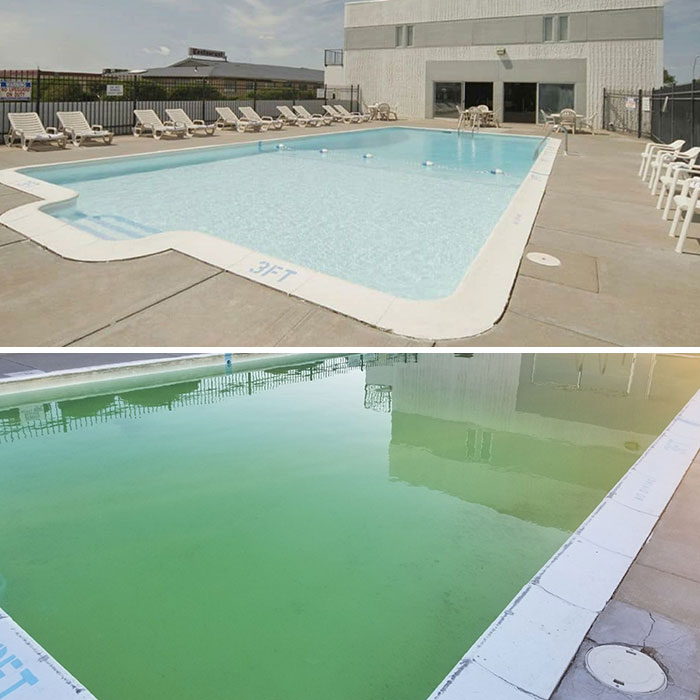 Airbnb pool expectations vs reality: clean blue pool above, murky green pool below, illustrating a disappointing experience.