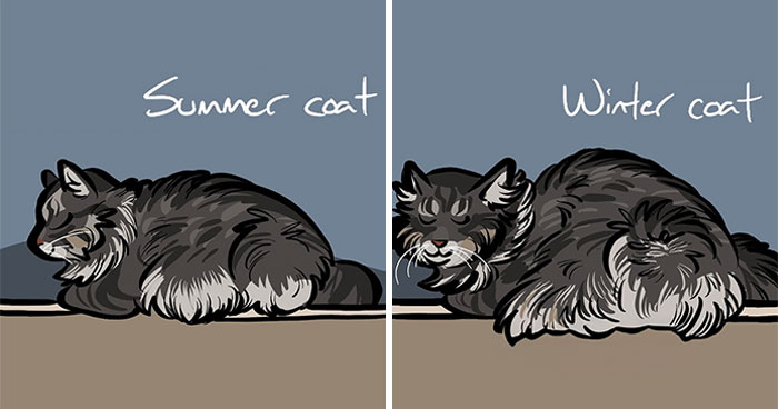 Artist Created 25 Relatable Comics That Perfectly Capture Life’s Struggles