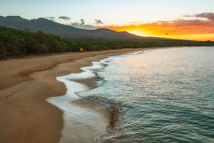 Sunset over a serene beach with gentle waves and a tree-lined shore.