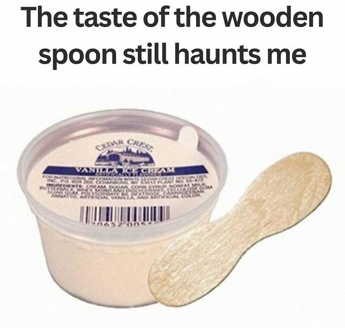 Container of vanilla ice cream with a wooden spoon, evoking funny throwbacks for floppy disk era folks.