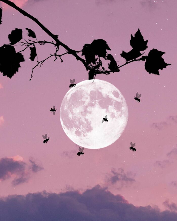 Silhouette of branches and insects against a full moon in a purple sky, showcasing silhouette photography.
