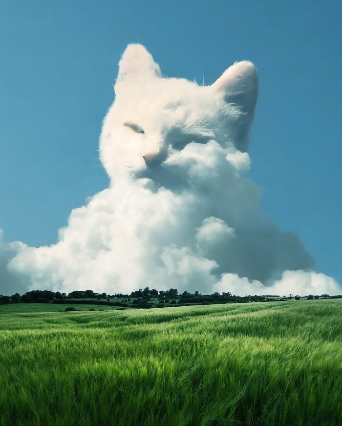 Surreal digital artwork by Ted Chin featuring a cat-shaped cloud above a green field, blending fantasy with reality.