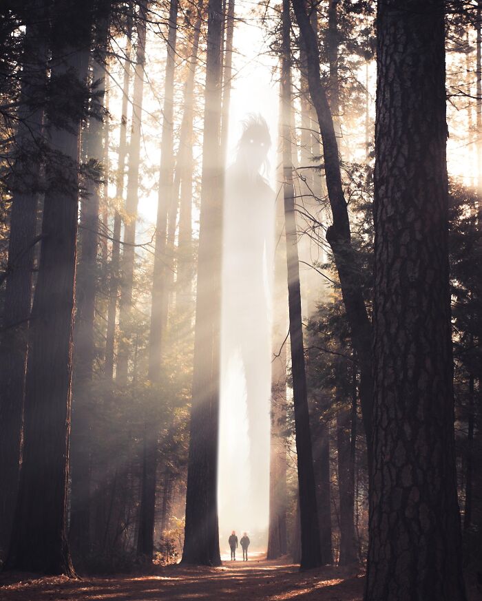 Surreal digital artwork by Ted Chin showing a towering figure in a sunlit forest, blending fantasy and reality.