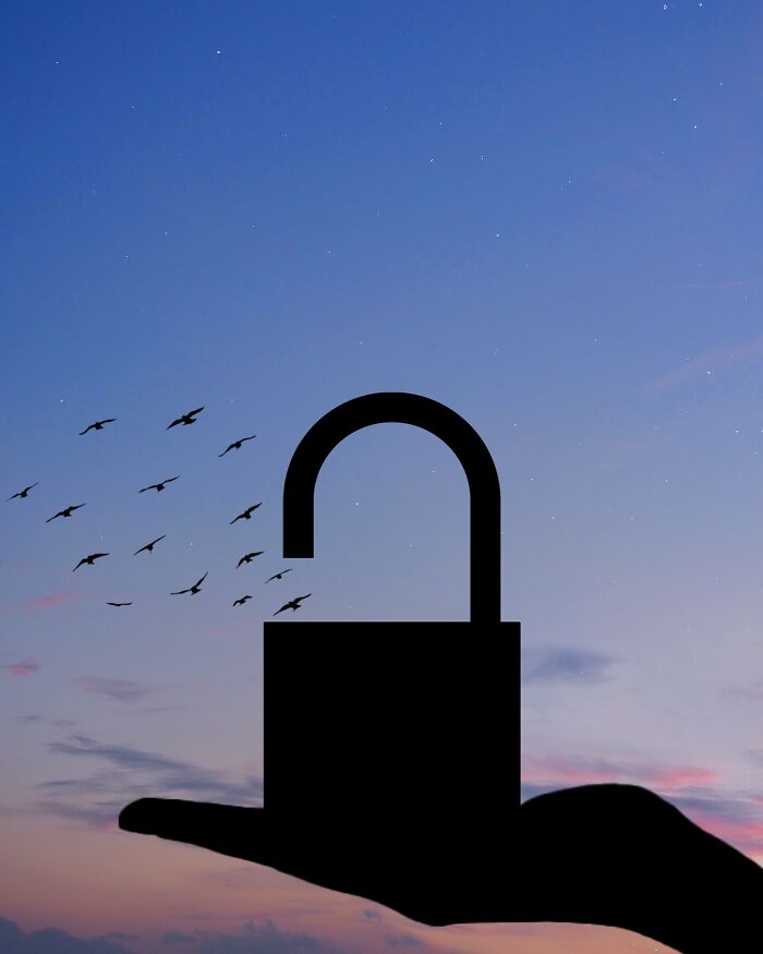 Silhouette photography of a hand holding an unlocked padlock, with birds flying against a twilight sky.