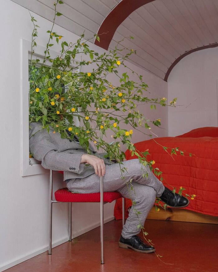 A surreal photograph by Ben Zank of a figure in checked suit, with face obscured by a plant through a window.