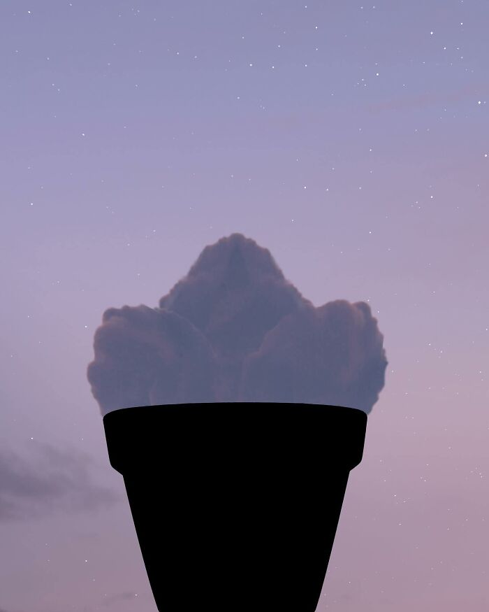 Silhouette photography of a potted plant shape against a starry twilight sky by Lân Nguyen.