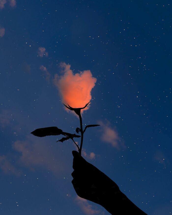 Silhouette photography of a hand holding a flower against a starry night sky, with a cloud glowing like a bloom.