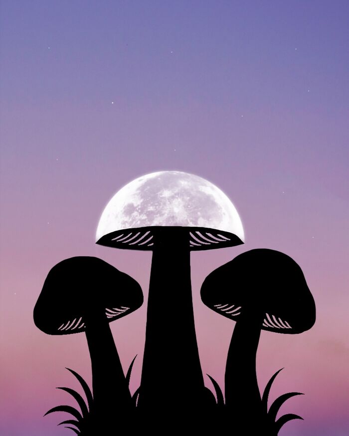 Silhouette photography of mushrooms with a full moon backdrop by Lân Nguyen.